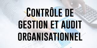 Contrôle de gestion et Audit organisationnel 